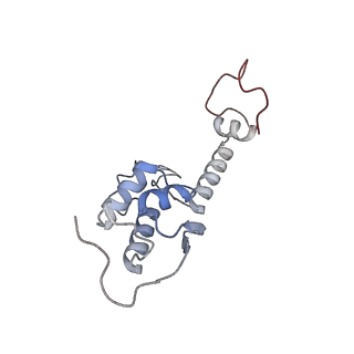 8124_5it9_S_v1-2
Structure of the yeast Kluyveromyces lactis small ribosomal subunit in complex with the cricket paralysis virus IRES.