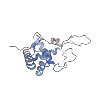8124_5it9_T_v1-2
Structure of the yeast Kluyveromyces lactis small ribosomal subunit in complex with the cricket paralysis virus IRES.