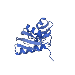 8124_5it9_W_v1-2
Structure of the yeast Kluyveromyces lactis small ribosomal subunit in complex with the cricket paralysis virus IRES.
