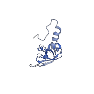8124_5it9_X_v1-2
Structure of the yeast Kluyveromyces lactis small ribosomal subunit in complex with the cricket paralysis virus IRES.