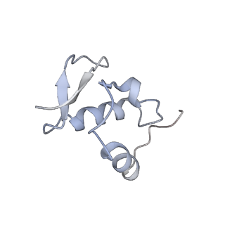 8124_5it9_Z_v1-2
Structure of the yeast Kluyveromyces lactis small ribosomal subunit in complex with the cricket paralysis virus IRES.
