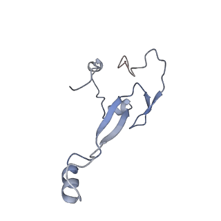 8124_5it9_a_v1-2
Structure of the yeast Kluyveromyces lactis small ribosomal subunit in complex with the cricket paralysis virus IRES.