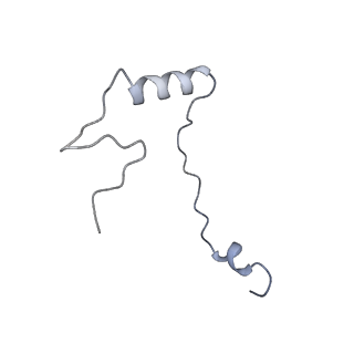 8124_5it9_e_v1-2
Structure of the yeast Kluyveromyces lactis small ribosomal subunit in complex with the cricket paralysis virus IRES.