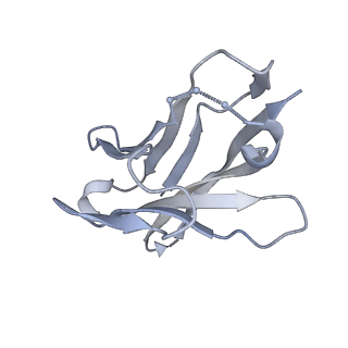 9731_6itc_C_v1-2
Structure of a substrate engaged SecA-SecY protein translocation machine