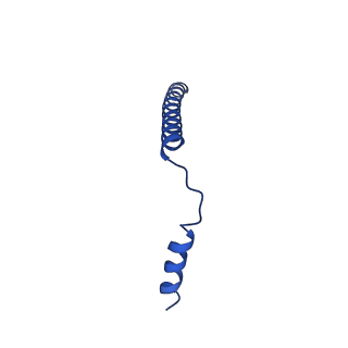 9731_6itc_E_v1-2
Structure of a substrate engaged SecA-SecY protein translocation machine