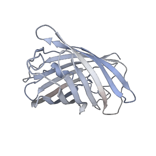 9731_6itc_G_v1-2
Structure of a substrate engaged SecA-SecY protein translocation machine