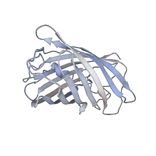 9731_6itc_G_v2-0
Structure of a substrate engaged SecA-SecY protein translocation machine
