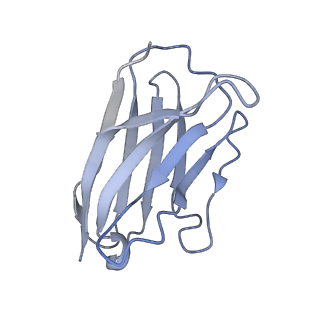 9731_6itc_V_v1-2
Structure of a substrate engaged SecA-SecY protein translocation machine