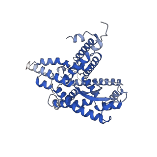 9731_6itc_Y_v1-2
Structure of a substrate engaged SecA-SecY protein translocation machine