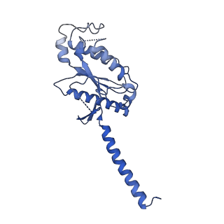 35714_8iu2_A_v1-0
Cryo-EM structure of Long-wave-sensitive opsin 1