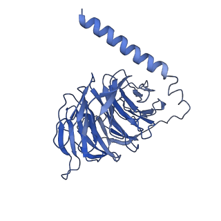 35714_8iu2_B_v1-0
Cryo-EM structure of Long-wave-sensitive opsin 1