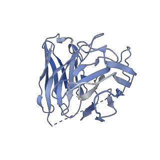 35714_8iu2_S_v1-0
Cryo-EM structure of Long-wave-sensitive opsin 1