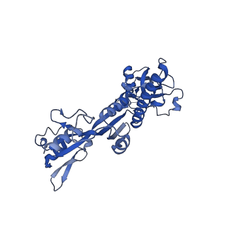 35719_8iue_C_v1-1
RNA polymerase III pre-initiation complex melting complex 1