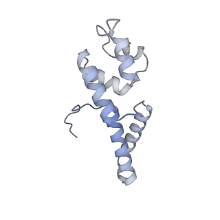 35719_8iue_D_v1-1
RNA polymerase III pre-initiation complex melting complex 1