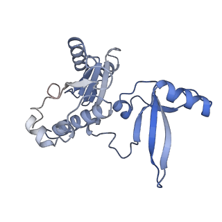 35719_8iue_E_v1-1
RNA polymerase III pre-initiation complex melting complex 1
