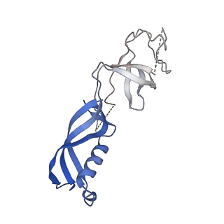 35719_8iue_G_v1-1
RNA polymerase III pre-initiation complex melting complex 1