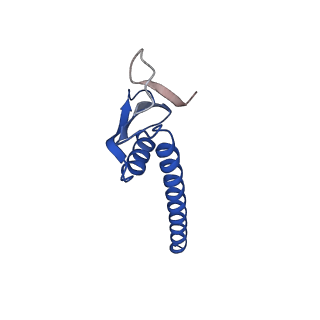 35719_8iue_K_v1-1
RNA polymerase III pre-initiation complex melting complex 1