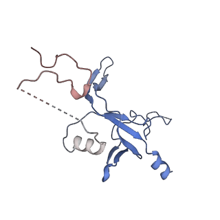 35719_8iue_N_v1-1
RNA polymerase III pre-initiation complex melting complex 1