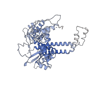 35719_8iue_O_v1-1
RNA polymerase III pre-initiation complex melting complex 1