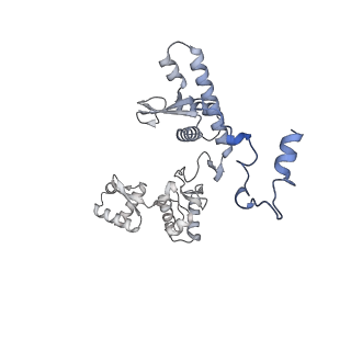 35719_8iue_P_v1-1
RNA polymerase III pre-initiation complex melting complex 1