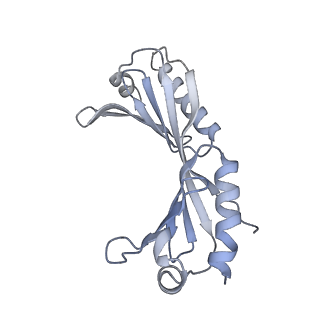35719_8iue_U_v1-1
RNA polymerase III pre-initiation complex melting complex 1