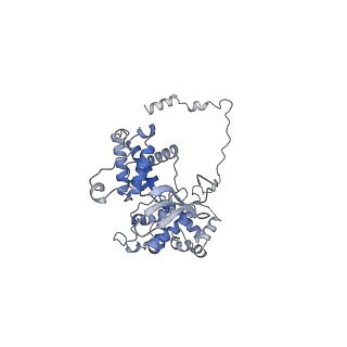 35719_8iue_V_v1-1
RNA polymerase III pre-initiation complex melting complex 1