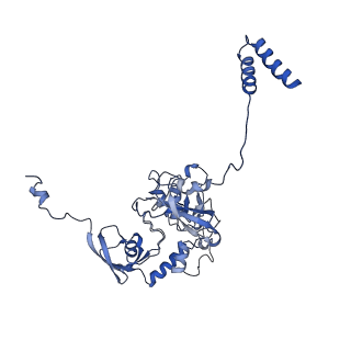 35720_8iuf_1A_v1-1
Cryo-EM structure of Euglena gracilis super-complex I+III2+IV, composite