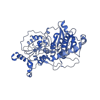 35720_8iuf_1B_v1-1
Cryo-EM structure of Euglena gracilis super-complex I+III2+IV, composite