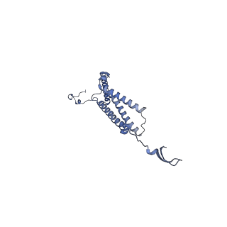 35720_8iuf_4A_v1-1
Cryo-EM structure of Euglena gracilis super-complex I+III2+IV, composite