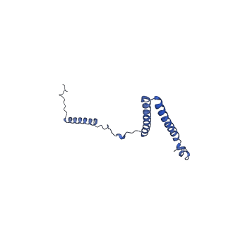 35720_8iuf_4C_v1-1
Cryo-EM structure of Euglena gracilis super-complex I+III2+IV, composite