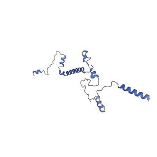 35720_8iuf_4D_v1-1
Cryo-EM structure of Euglena gracilis super-complex I+III2+IV, composite