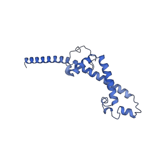 35720_8iuf_4E_v1-1
Cryo-EM structure of Euglena gracilis super-complex I+III2+IV, composite