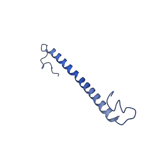 35720_8iuf_4F_v1-1
Cryo-EM structure of Euglena gracilis super-complex I+III2+IV, composite