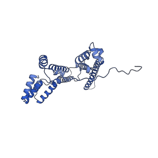 35720_8iuf_4G_v1-1
Cryo-EM structure of Euglena gracilis super-complex I+III2+IV, composite