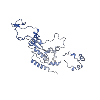 35720_8iuf_4I_v1-1
Cryo-EM structure of Euglena gracilis super-complex I+III2+IV, composite