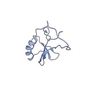 35720_8iuf_4J_v1-1
Cryo-EM structure of Euglena gracilis super-complex I+III2+IV, composite