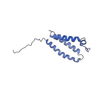 35720_8iuf_4L_v1-1
Cryo-EM structure of Euglena gracilis super-complex I+III2+IV, composite