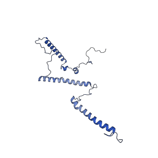 35720_8iuf_5C_v1-1
Cryo-EM structure of Euglena gracilis super-complex I+III2+IV, composite