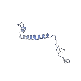 35720_8iuf_6A_v1-1
Cryo-EM structure of Euglena gracilis super-complex I+III2+IV, composite