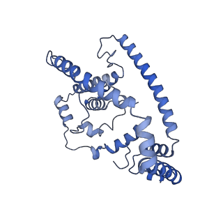 35720_8iuf_6B_v1-1
Cryo-EM structure of Euglena gracilis super-complex I+III2+IV, composite