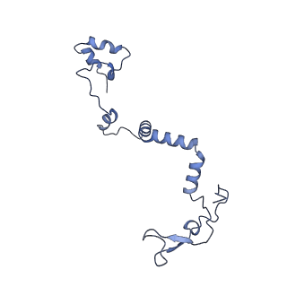 35720_8iuf_7C_v1-1
Cryo-EM structure of Euglena gracilis super-complex I+III2+IV, composite