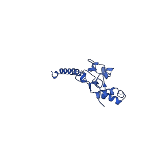 35720_8iuf_A1_v1-1
Cryo-EM structure of Euglena gracilis super-complex I+III2+IV, composite