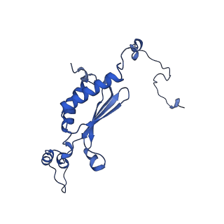 35720_8iuf_A2_v1-1
Cryo-EM structure of Euglena gracilis super-complex I+III2+IV, composite