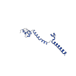 35720_8iuf_A3_v1-1
Cryo-EM structure of Euglena gracilis super-complex I+III2+IV, composite