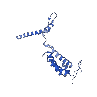 35720_8iuf_A5_v1-1
Cryo-EM structure of Euglena gracilis super-complex I+III2+IV, composite