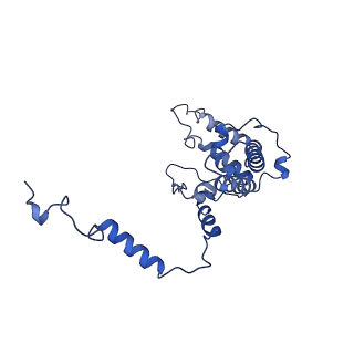 35720_8iuf_A8_v1-1
Cryo-EM structure of Euglena gracilis super-complex I+III2+IV, composite