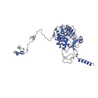 35720_8iuf_A9_v1-1
Cryo-EM structure of Euglena gracilis super-complex I+III2+IV, composite