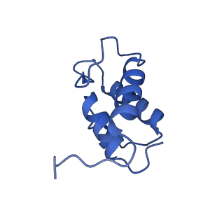 35720_8iuf_AB_v1-1
Cryo-EM structure of Euglena gracilis super-complex I+III2+IV, composite