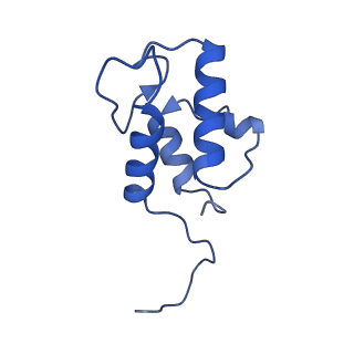 35720_8iuf_AC_v1-1
Cryo-EM structure of Euglena gracilis super-complex I+III2+IV, composite