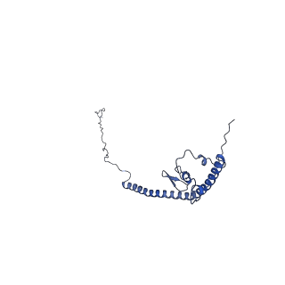 35720_8iuf_AM_v1-1
Cryo-EM structure of Euglena gracilis super-complex I+III2+IV, composite